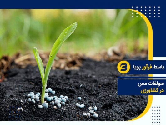 سولفات مس در کشاورزی