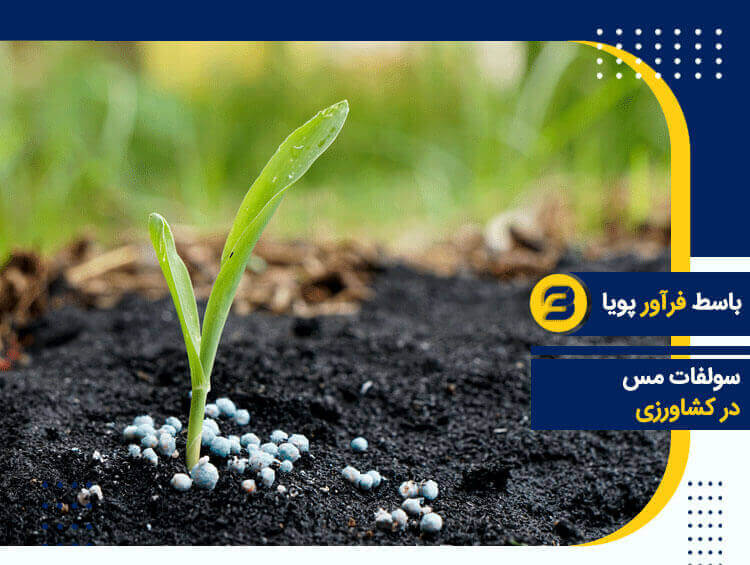 سولفات مس در کشاورزی