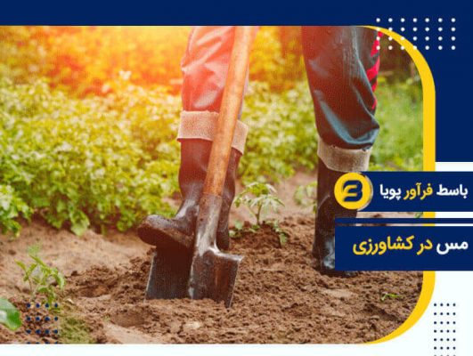 کاربرد مس در کشاورزی