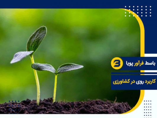 کاربرد روی در کشاورزی